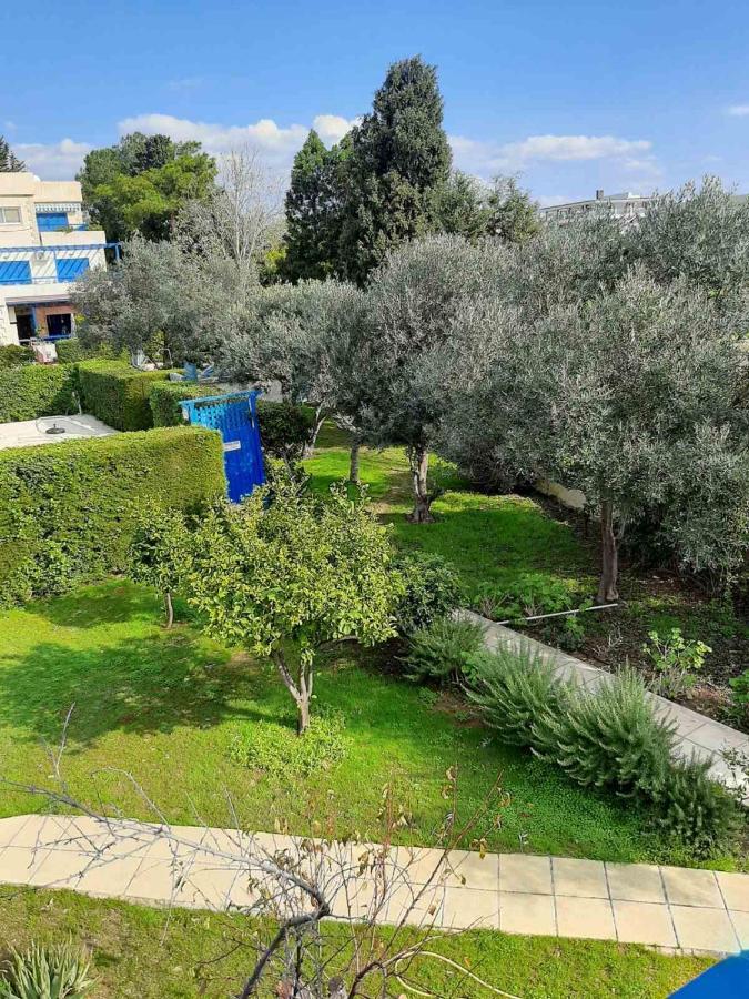 2 Bedroom Apartment-Mediterranean Type Pafos Dış mekan fotoğraf