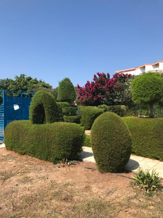 2 Bedroom Apartment-Mediterranean Type Pafos Dış mekan fotoğraf